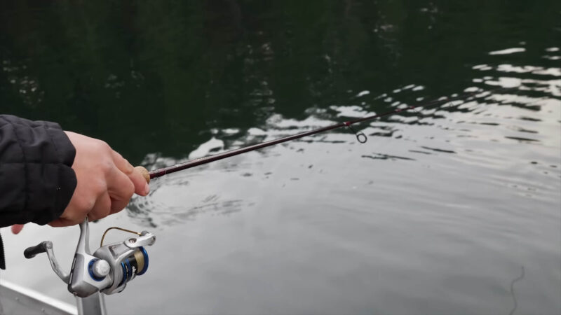 Fishing in warm waters