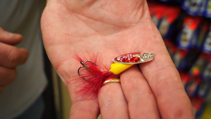 Rooster tail in the hands of a fisherman