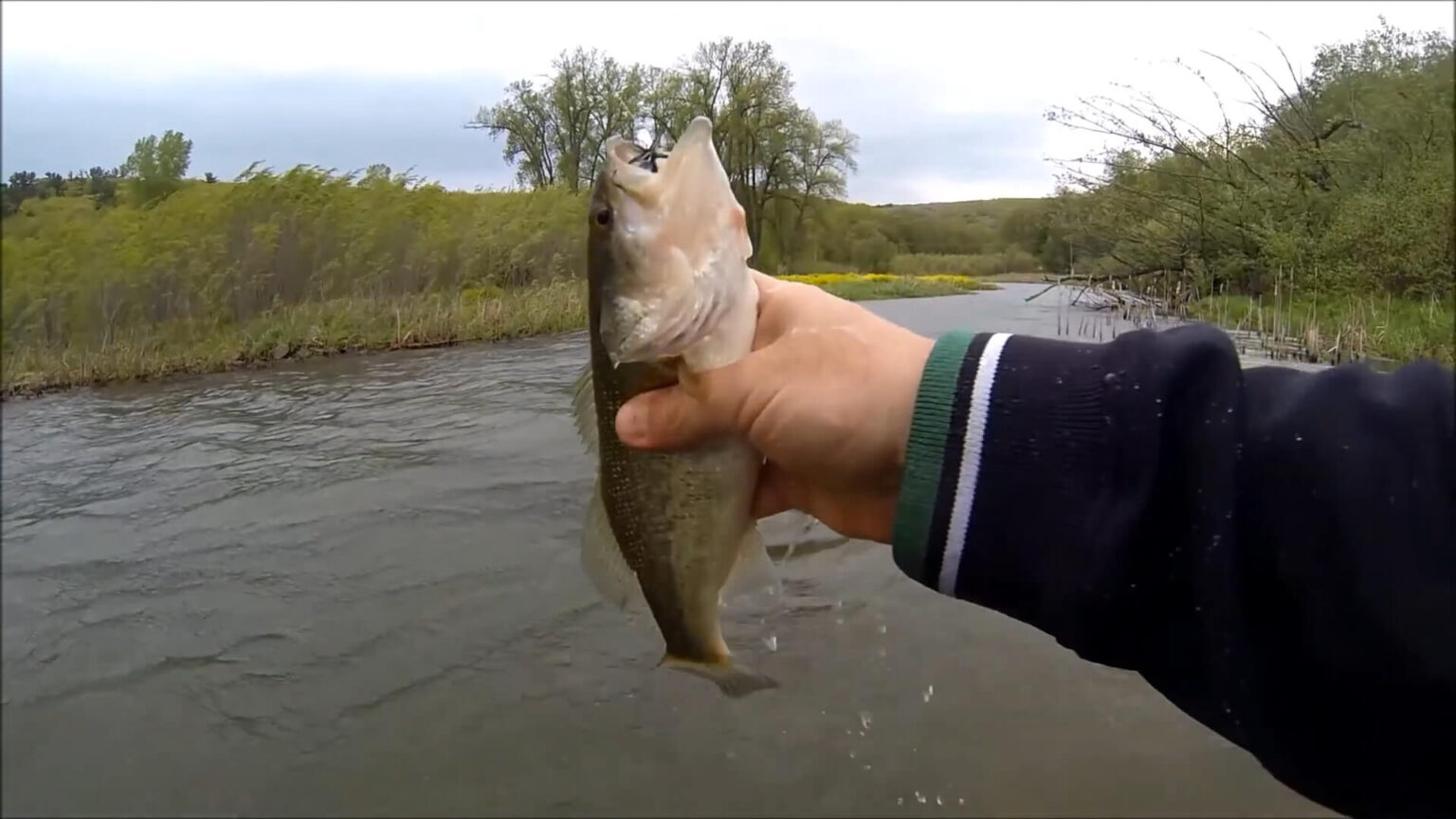 How to Rig and Fish a Rooster Tail - Everything You Need to Know - El ...