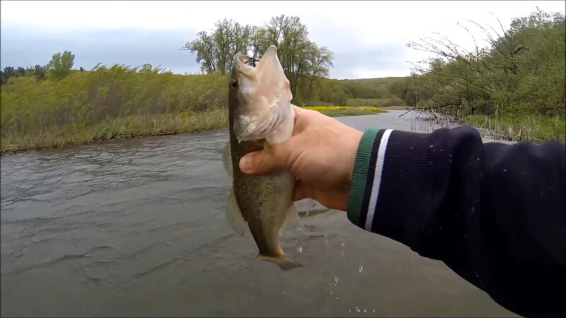 Bass fishing in the spring