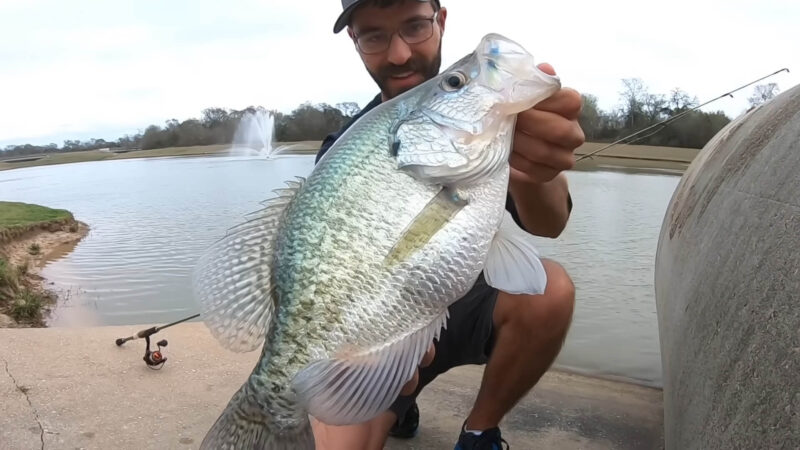 A guy holding the white crappie he caught